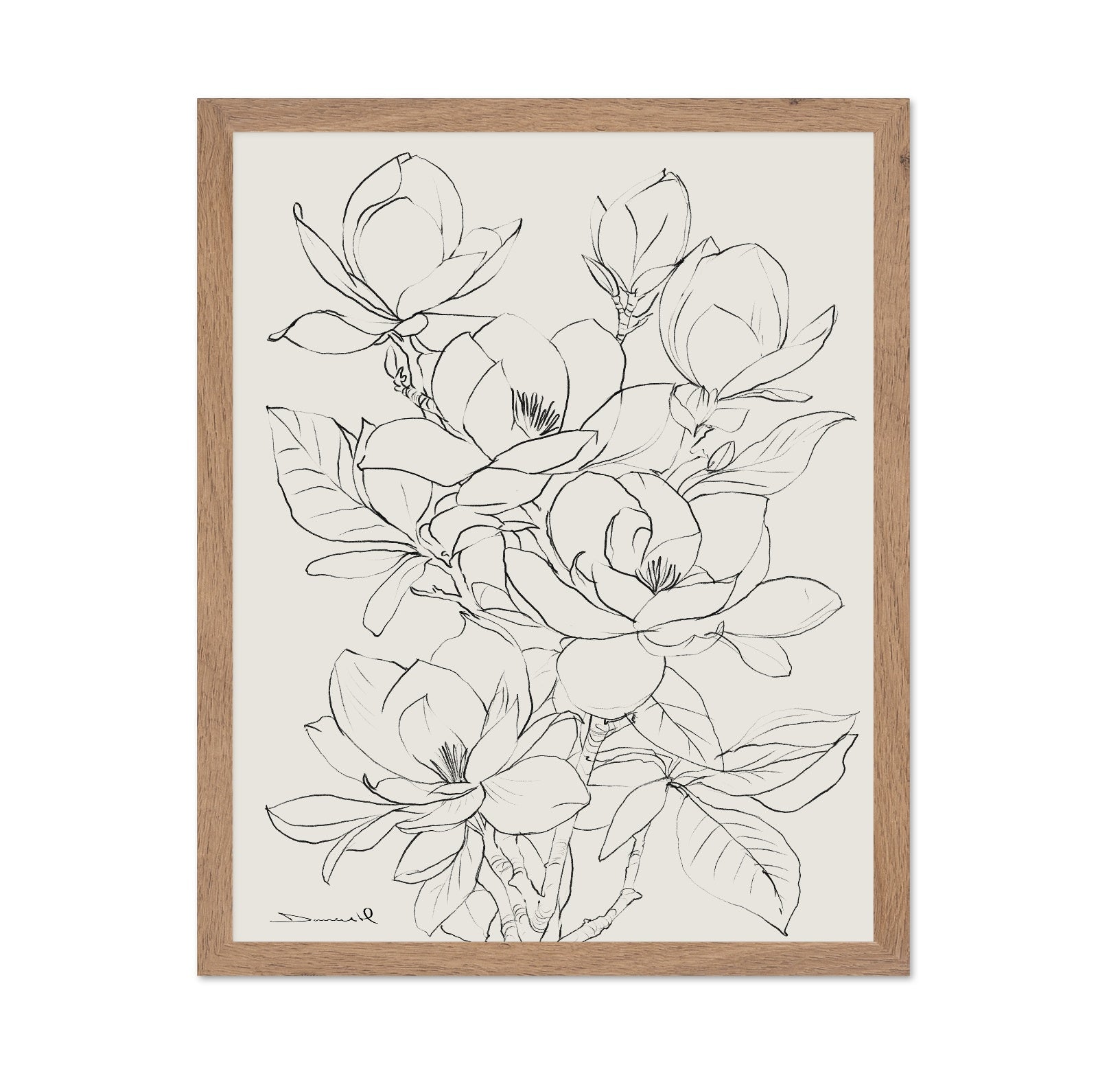 Magnolia Line Bloom