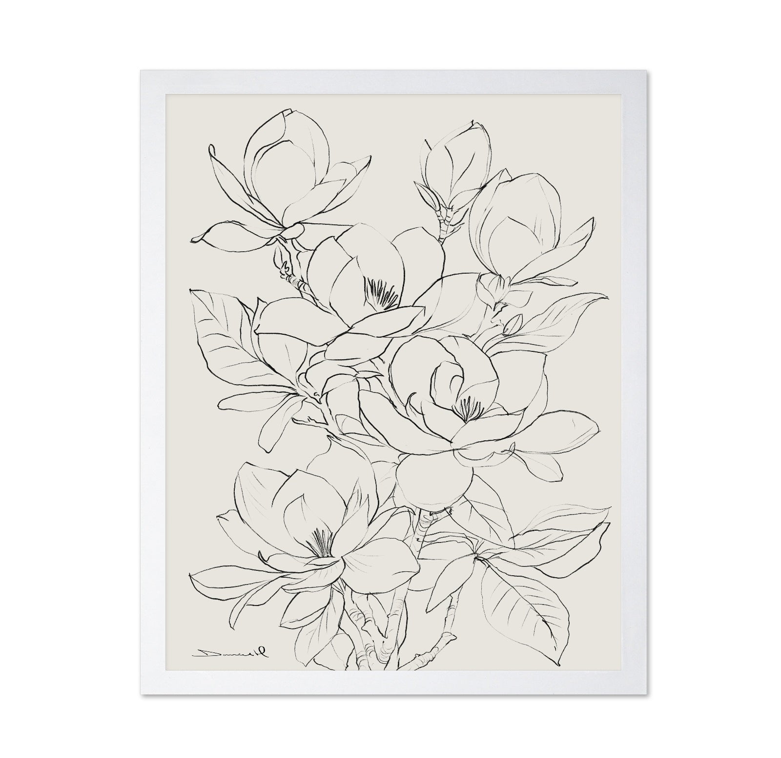 Magnolia Line Bloom