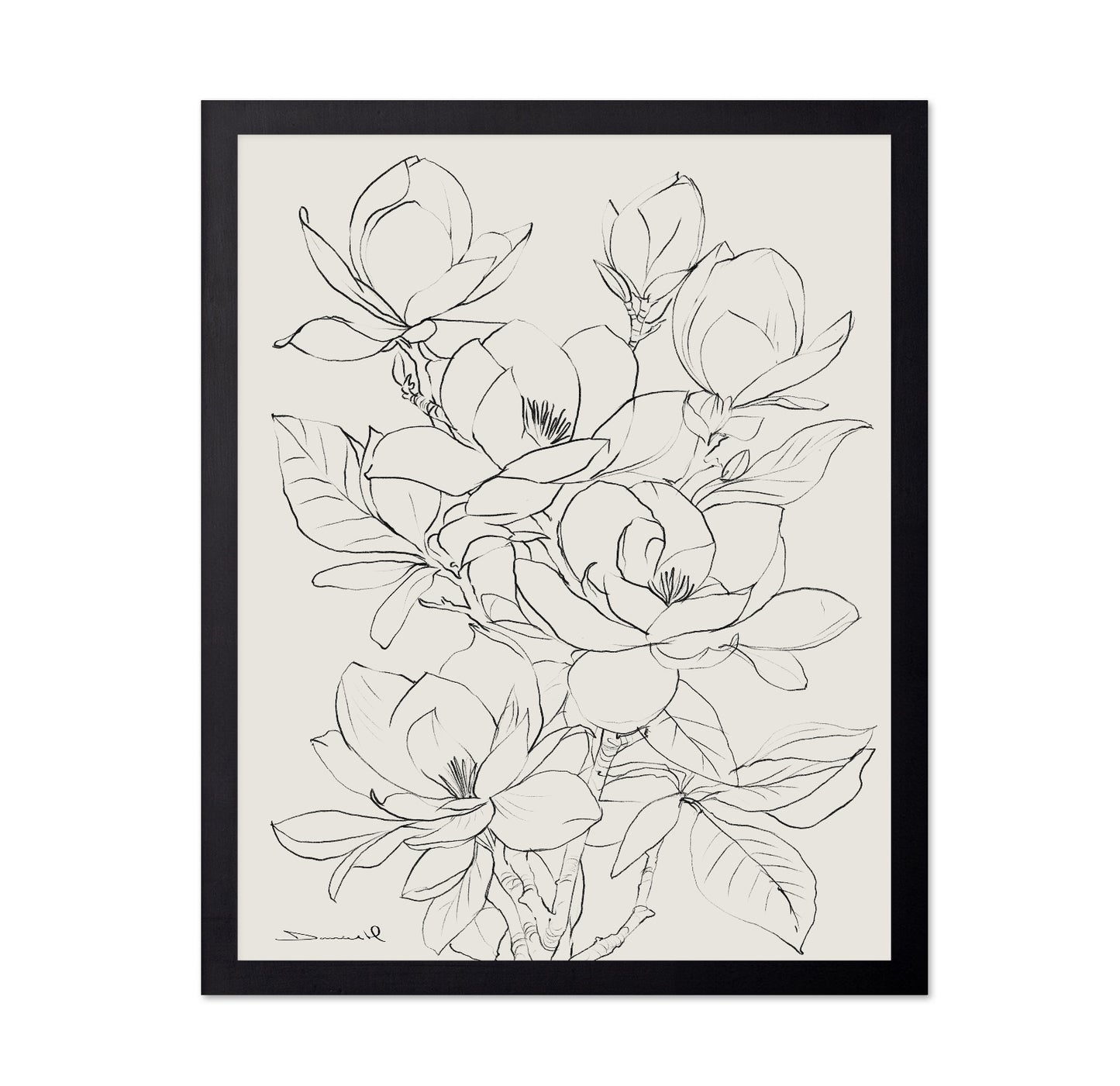 Magnolia Line Bloom