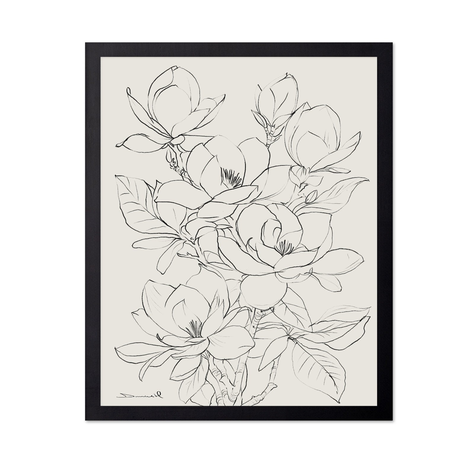 Magnolia Line Bloom
