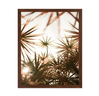 Sunlit Palm Leaves
