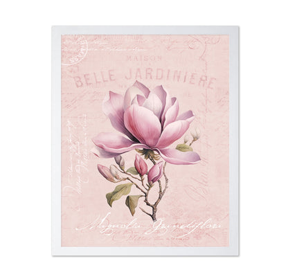 Pink Magnolia Bloom
