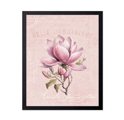 Pink Magnolia Bloom