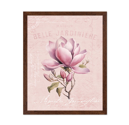 Pink Magnolia Bloom