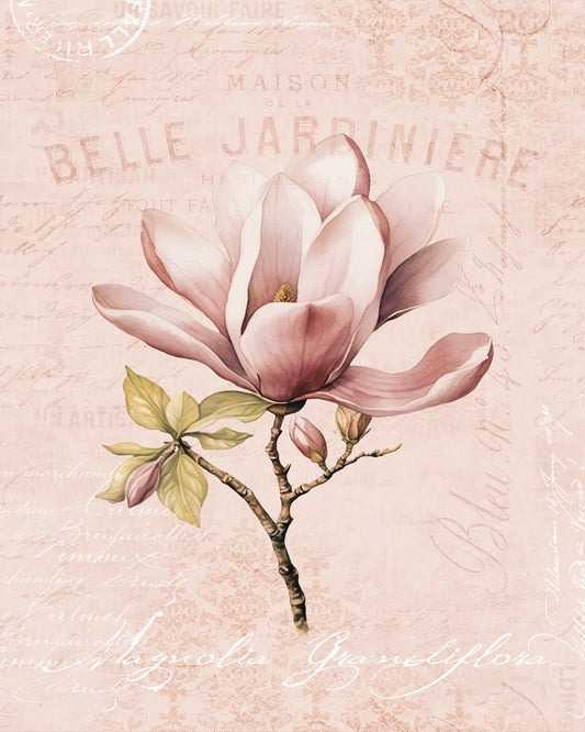 Vintage Magnolia Bloom
