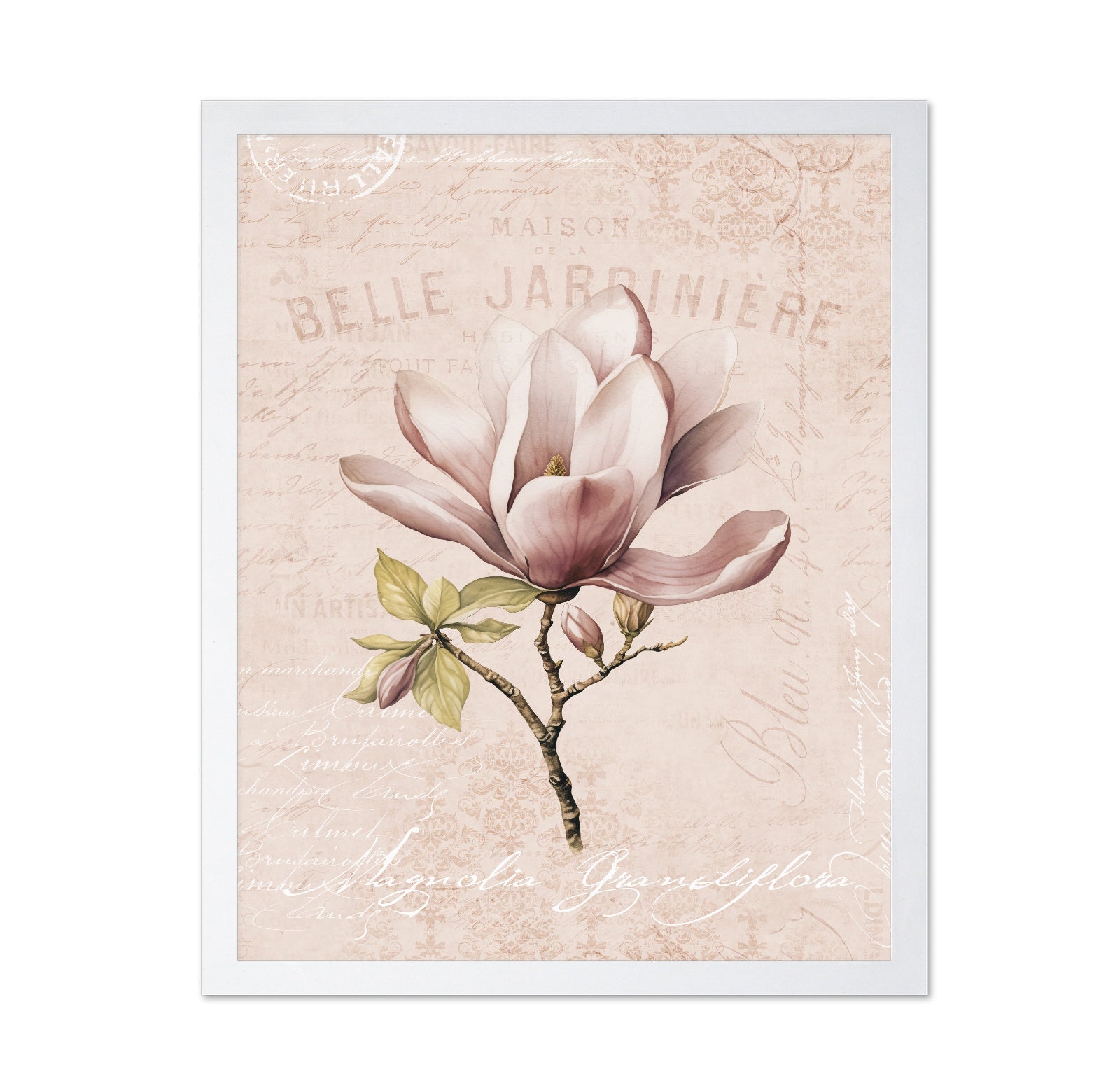 Vintage Magnolia Bloom