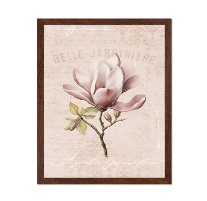 Vintage Magnolia Bloom