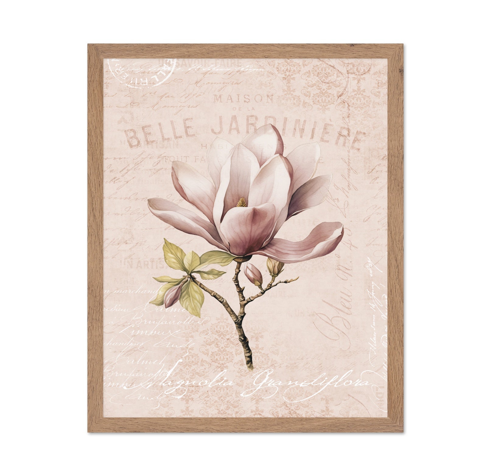 Vintage Magnolia Bloom