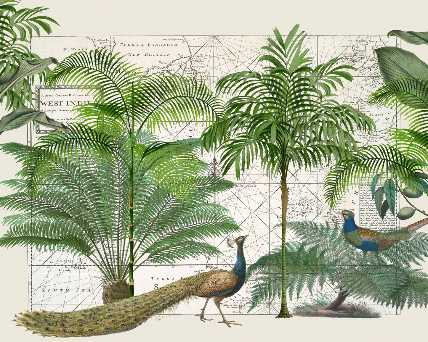 Tropical Map Garden