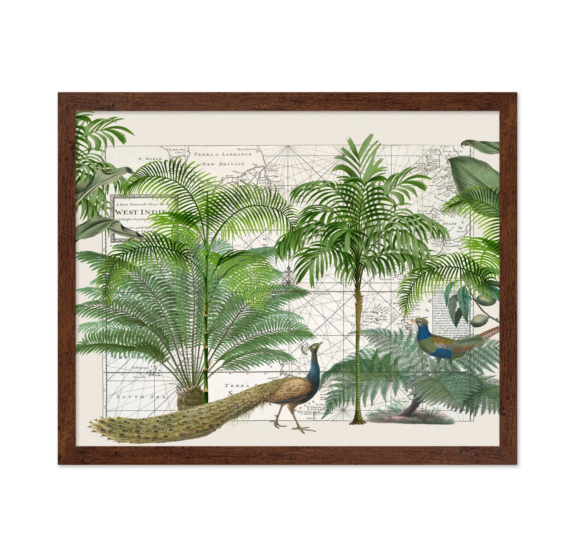 Tropical Map Garden