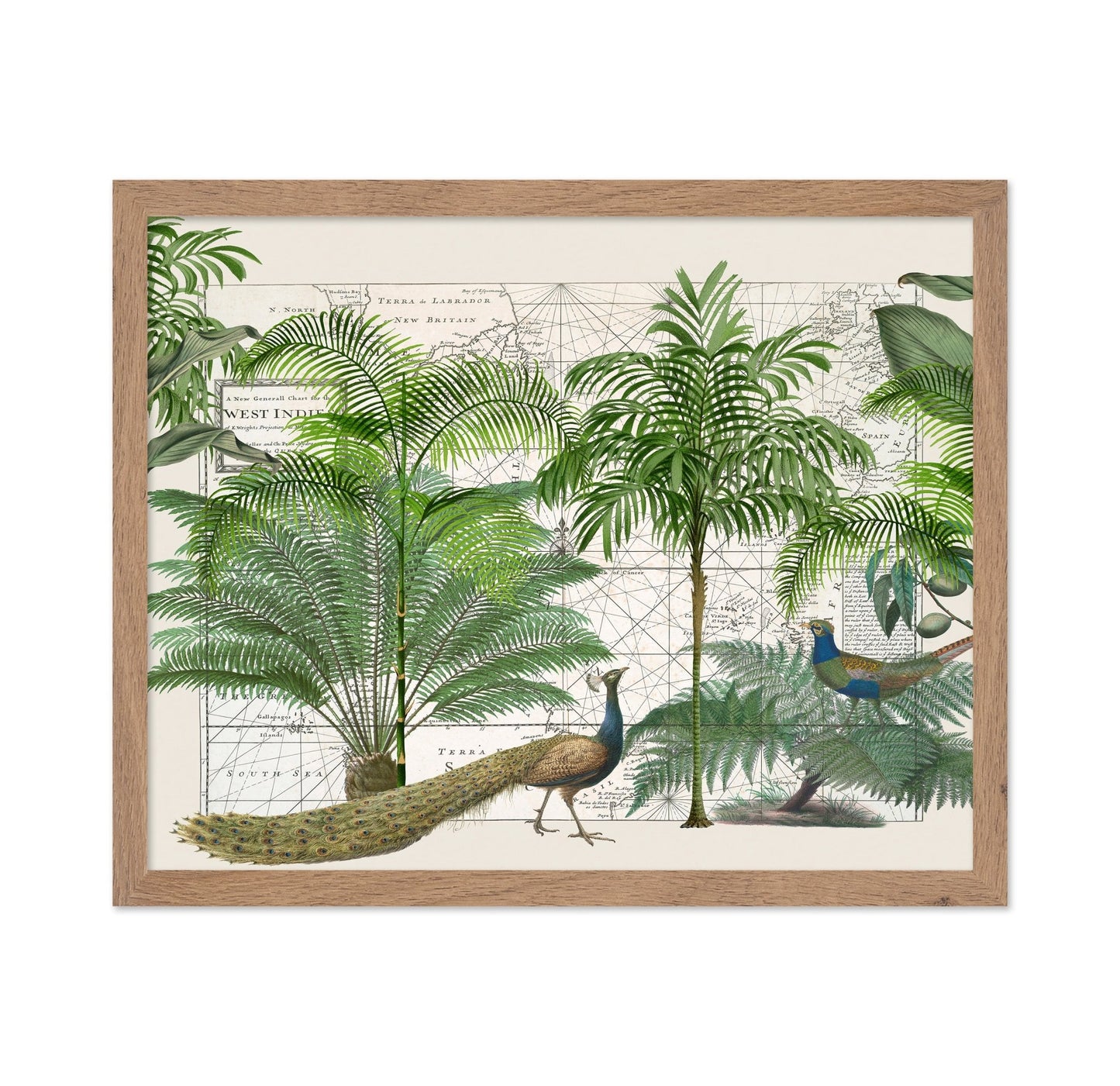 Tropical Map Garden