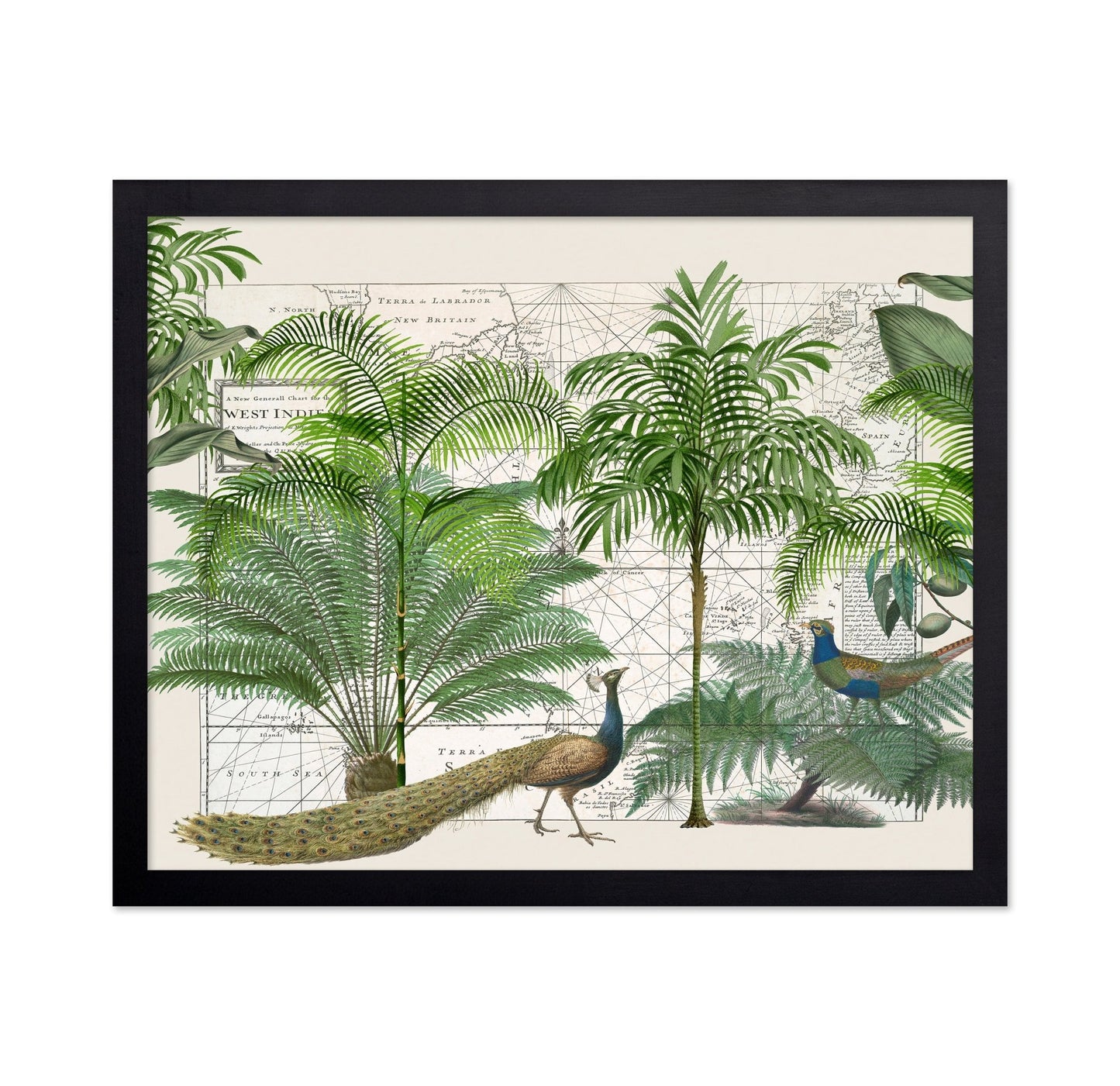 Tropical Map Garden