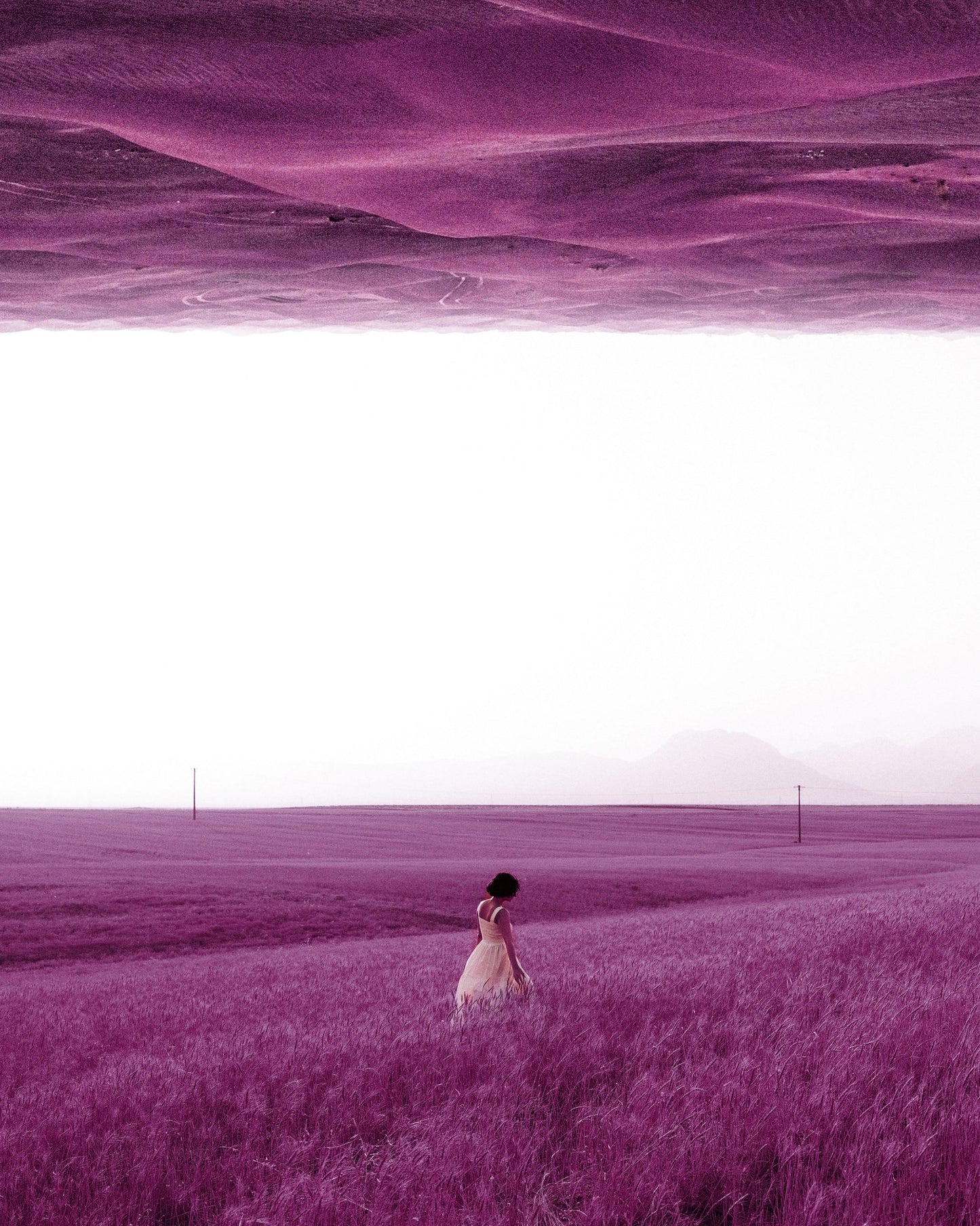 Woman In Purple Field
