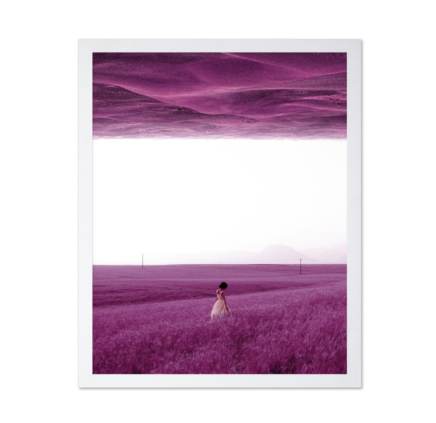 Woman In Purple Field