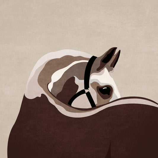 Brown Horse Closeup