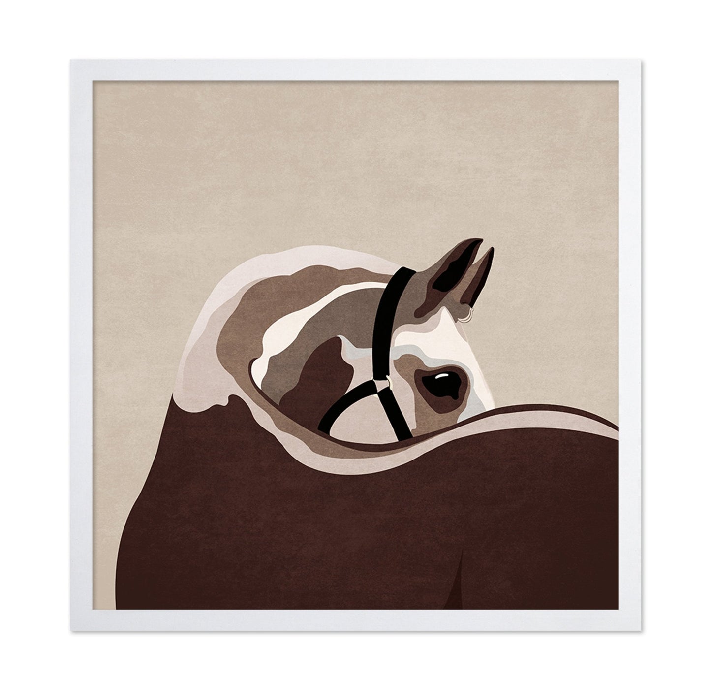 Brown Horse Closeup