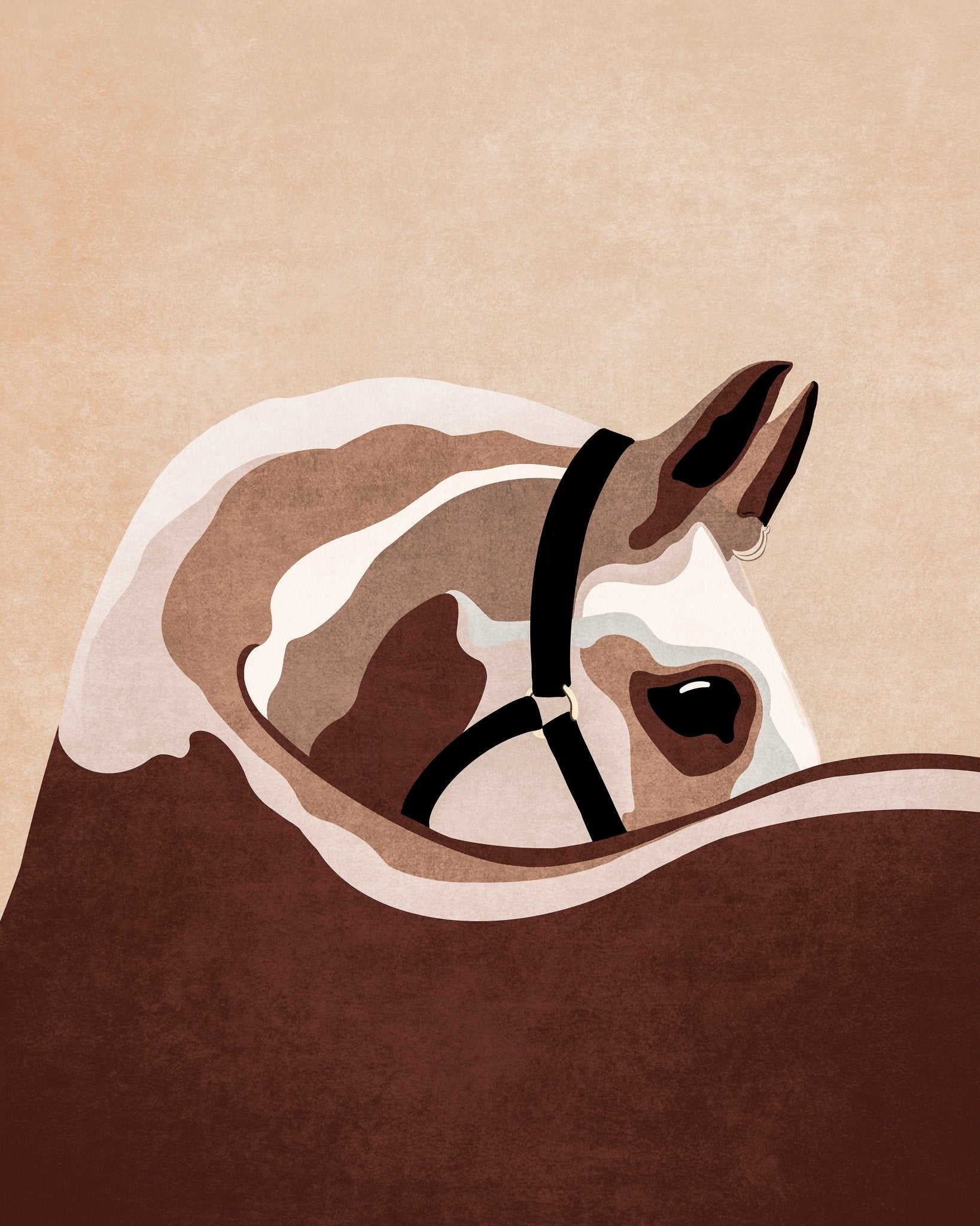 Horse Portrait Study