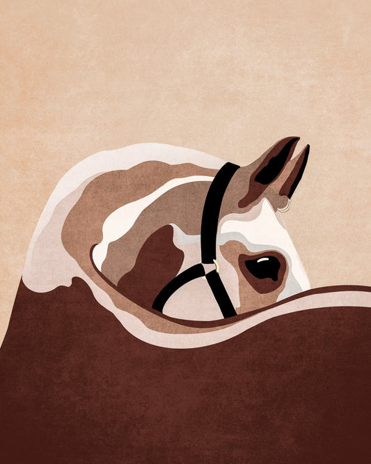 Horse Portrait Study