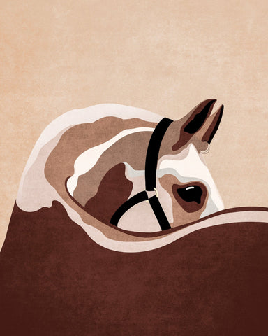 Horse Portrait Study