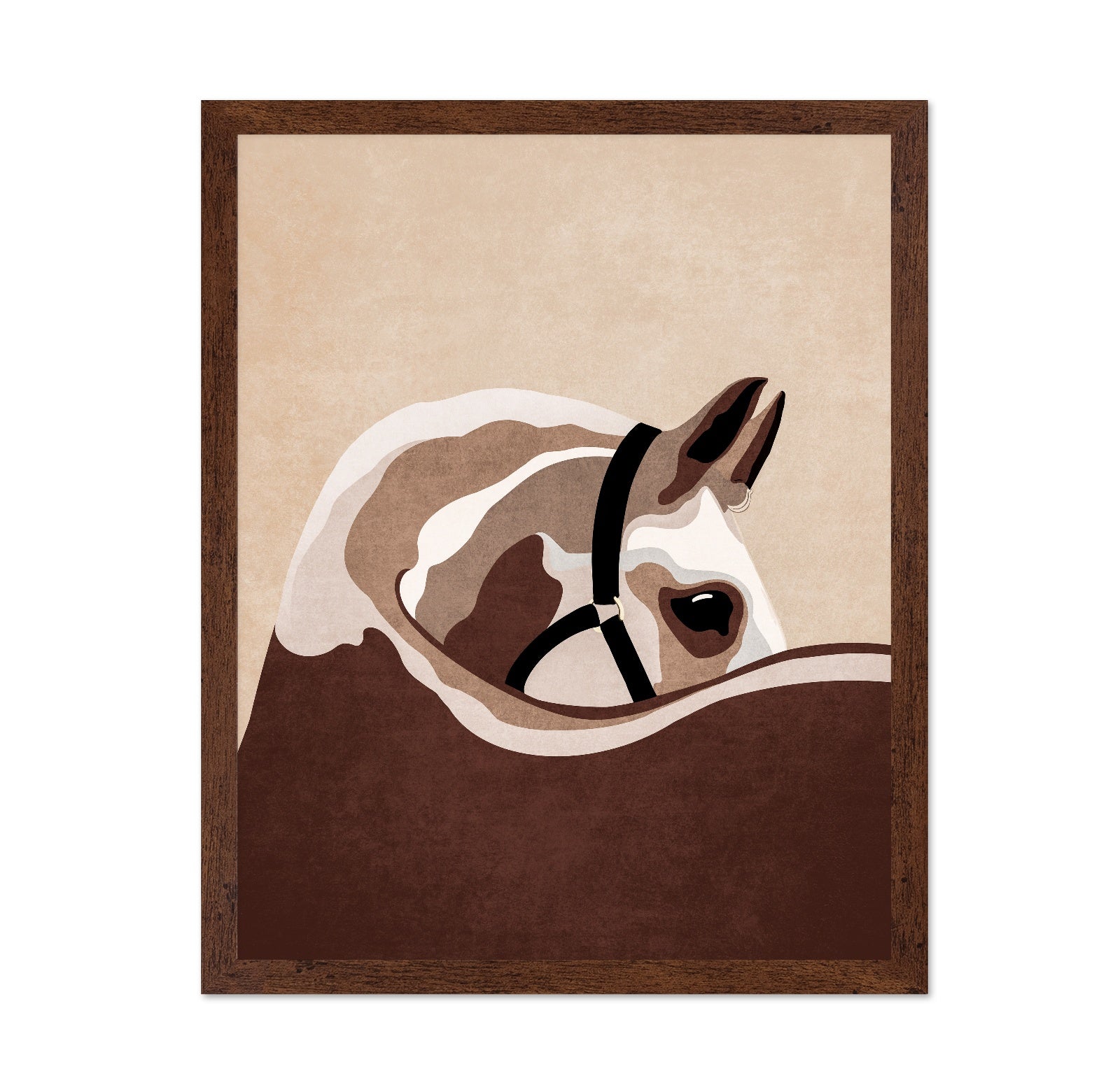 Horse Portrait Study