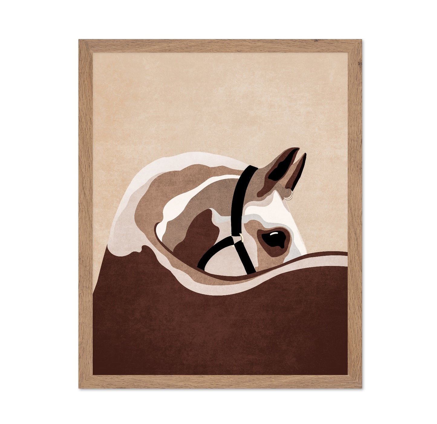 Horse Portrait Study