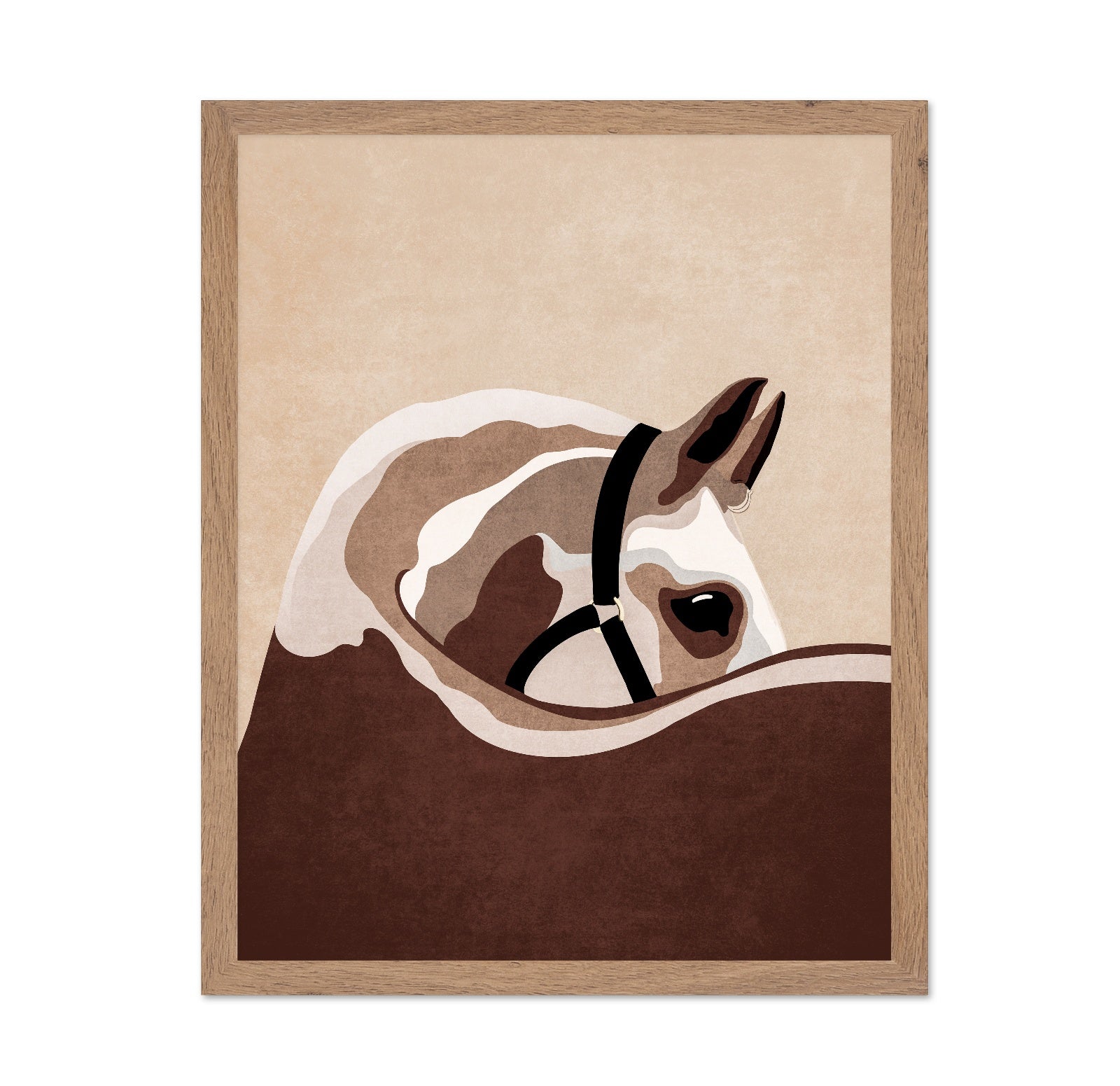 Horse Portrait Study