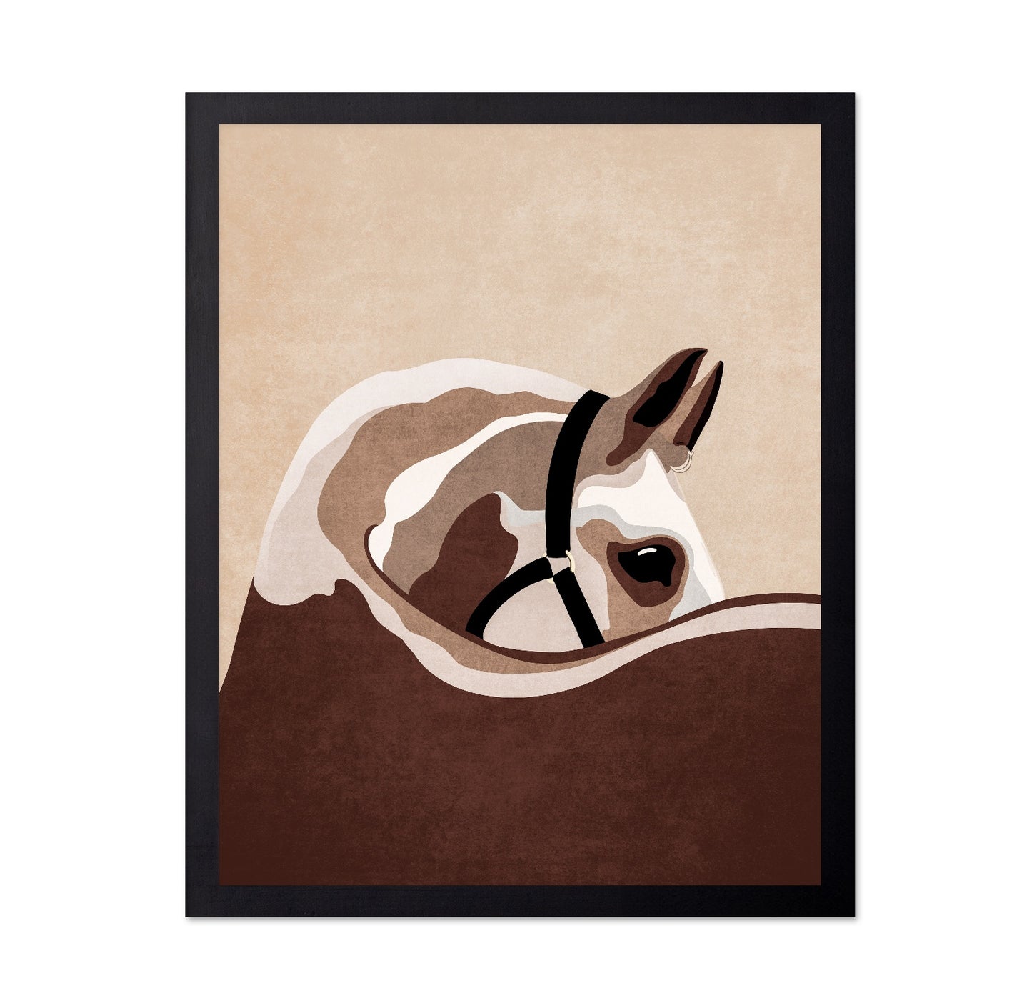 Horse Portrait Study