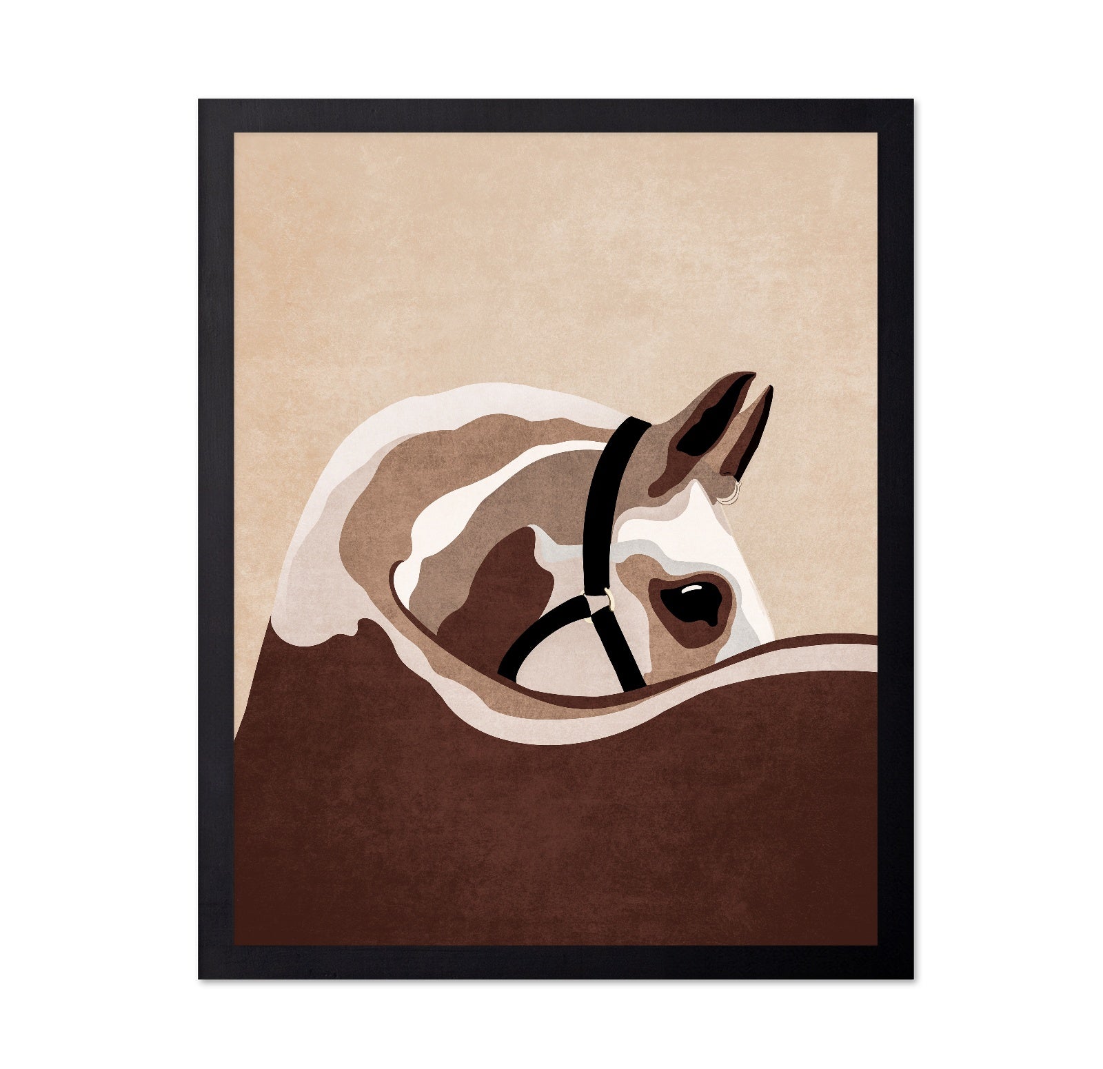 Horse Portrait Study