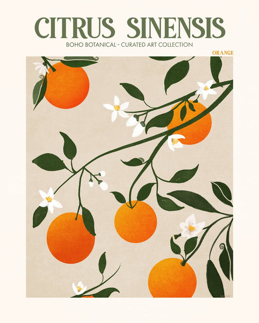 Orange Botanical