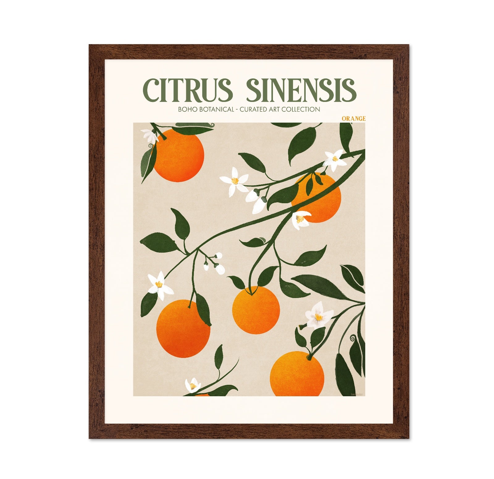 Orange Botanical