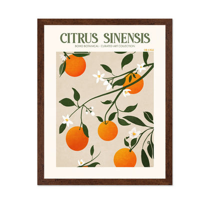 Orange Botanical