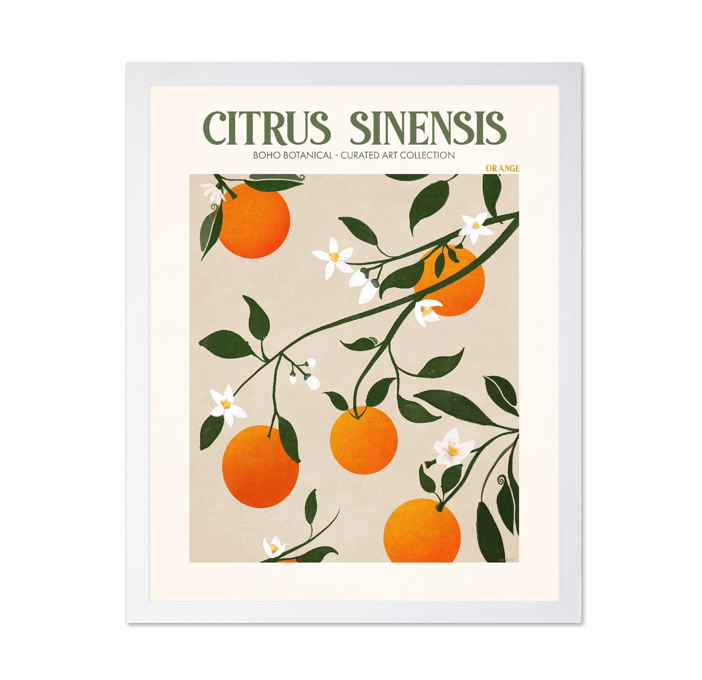 Orange Botanical
