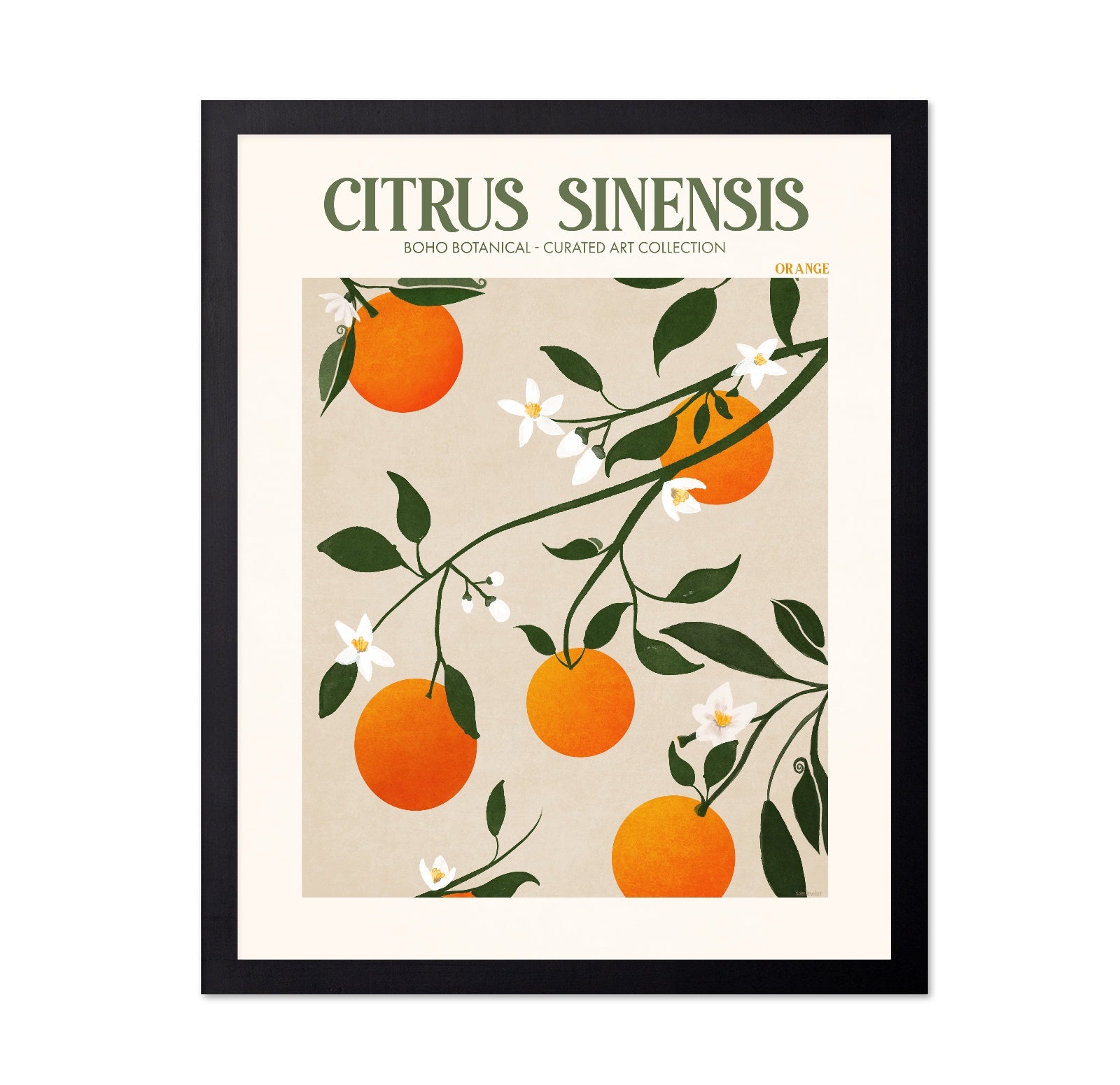 Orange Botanical