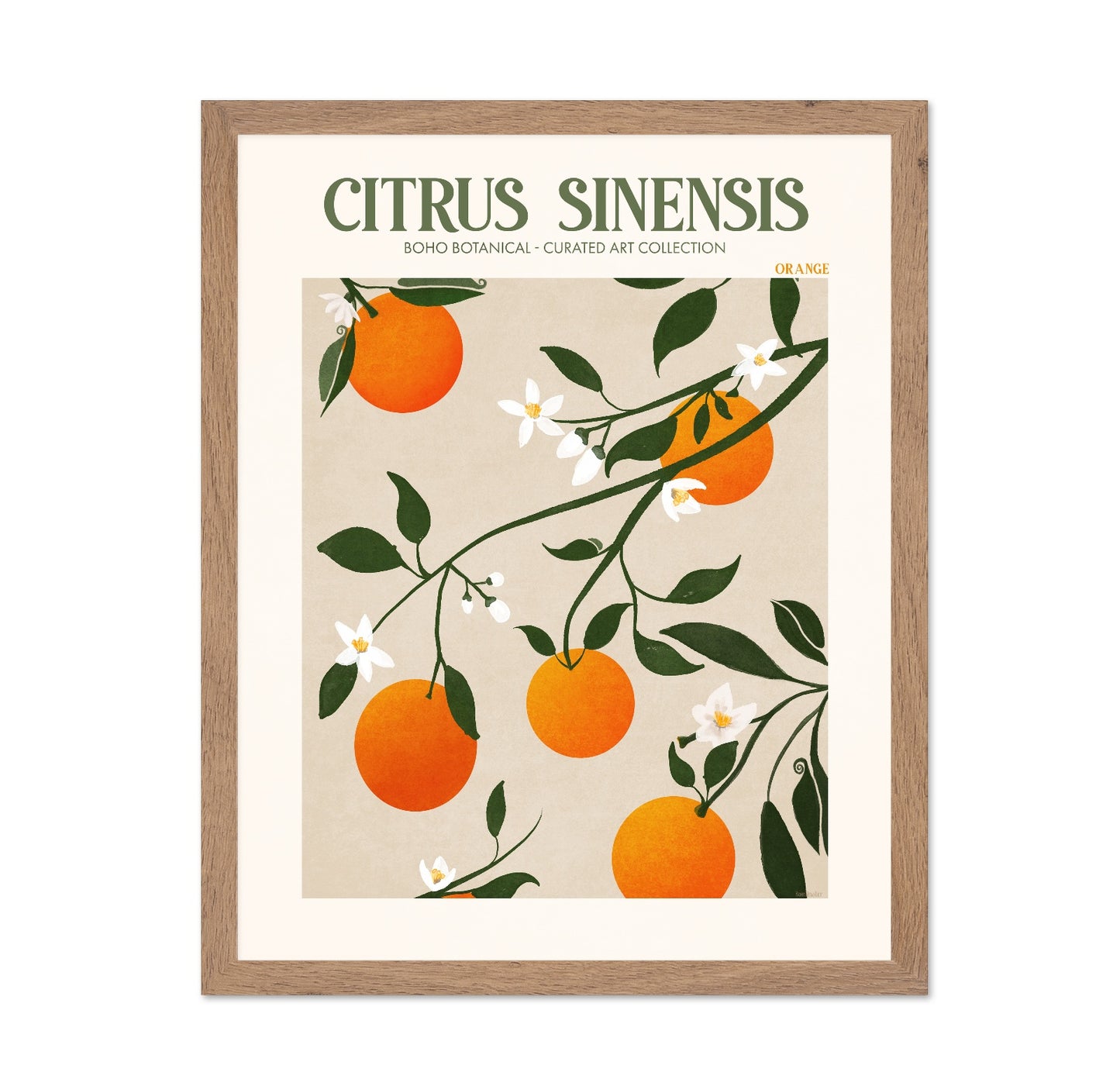 Orange Botanical