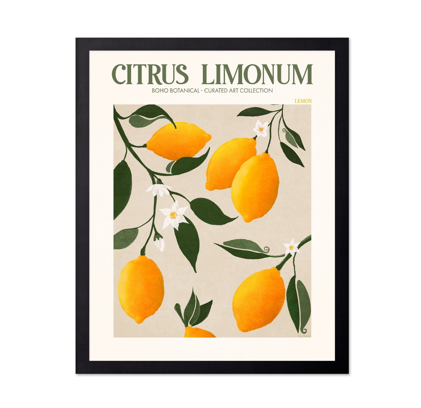 Lemon Botanical