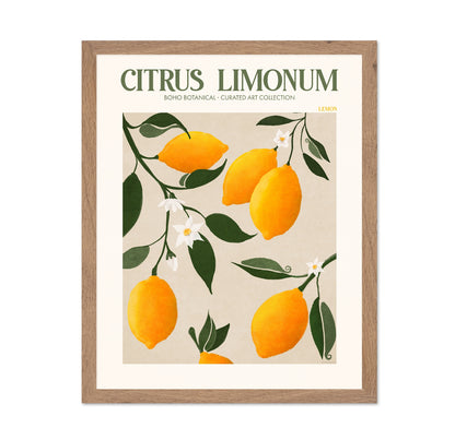 Lemon Botanical