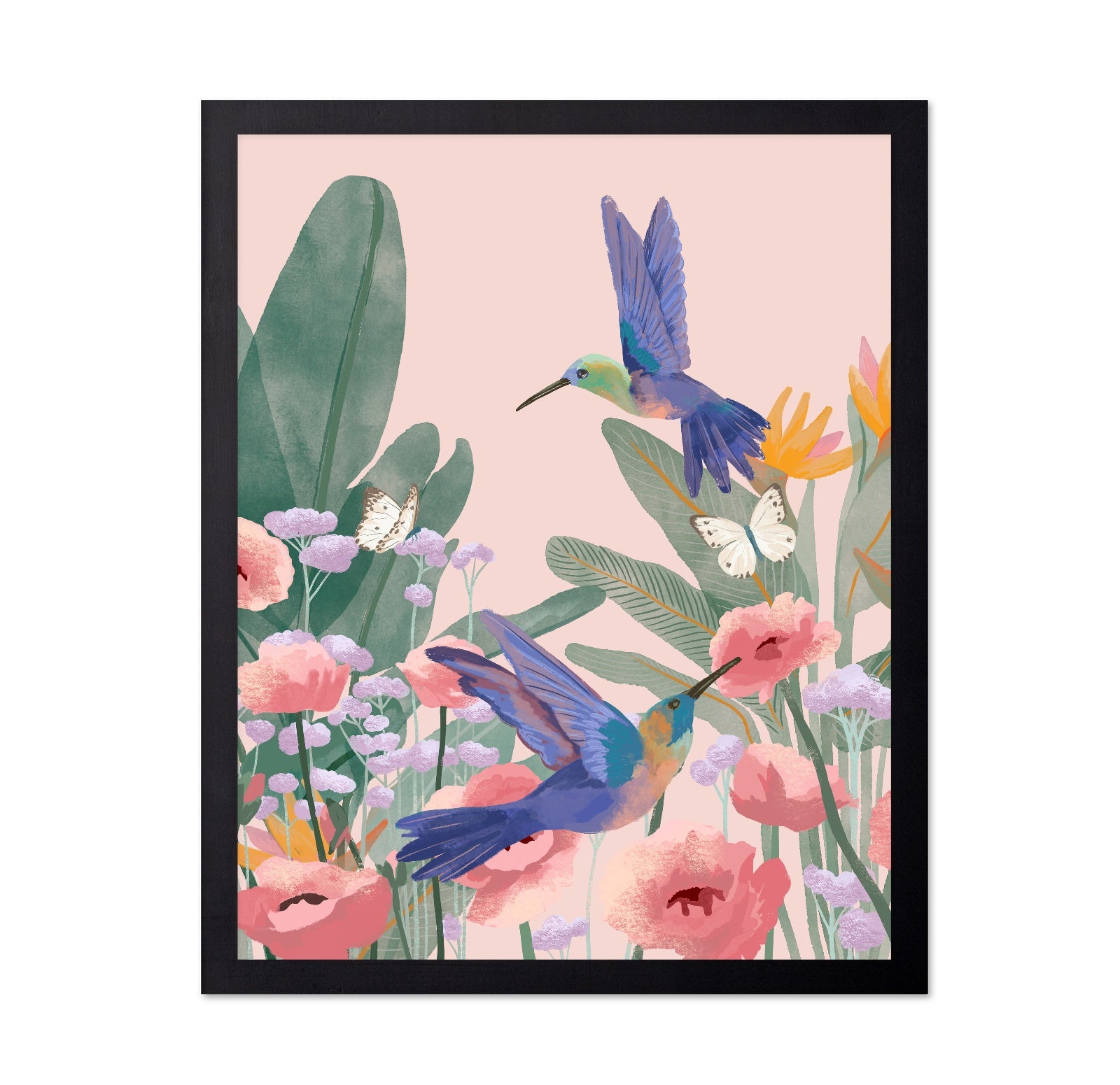 Hummingbird Garden No2
