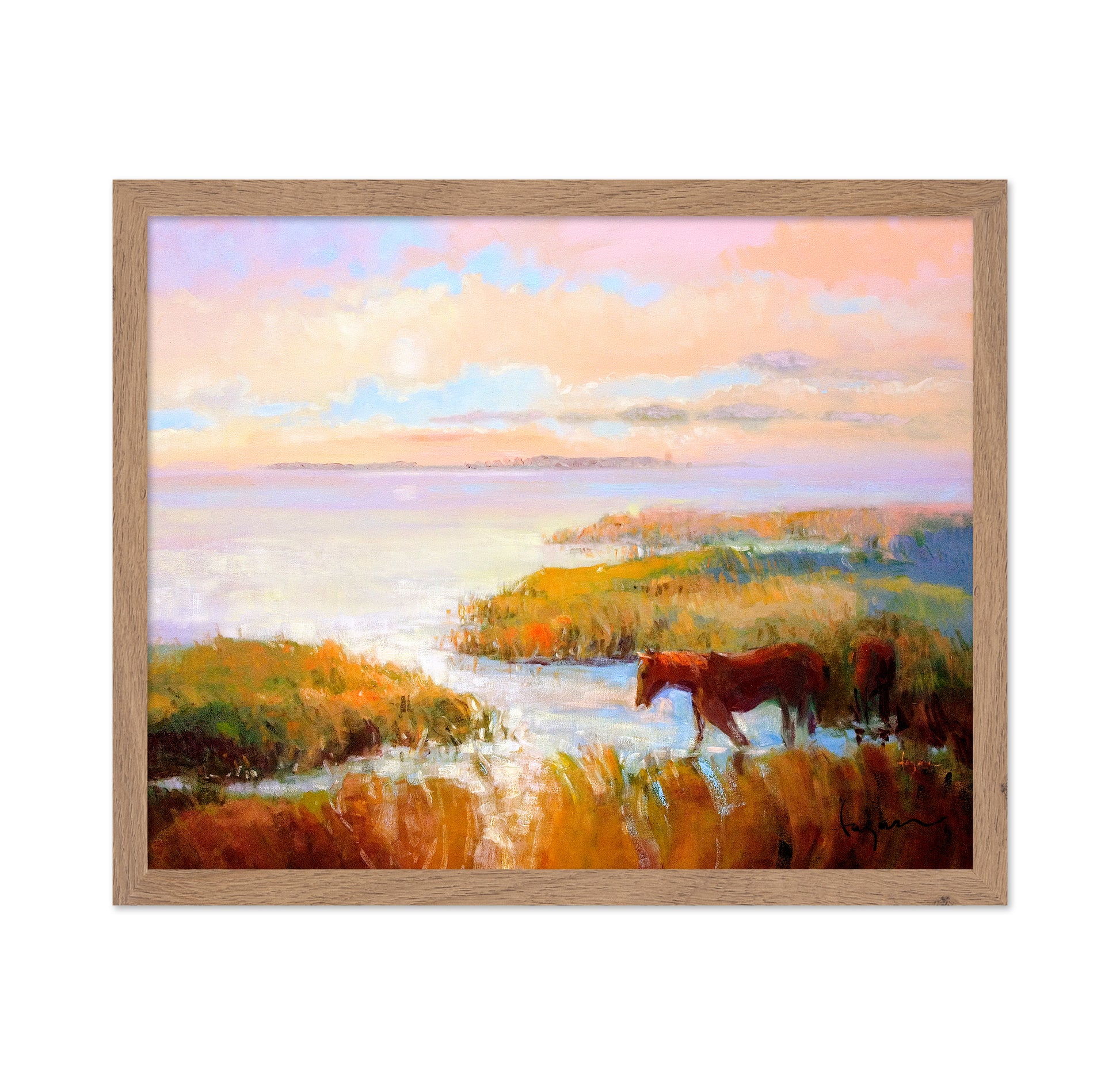 Coastal Horse Meadow