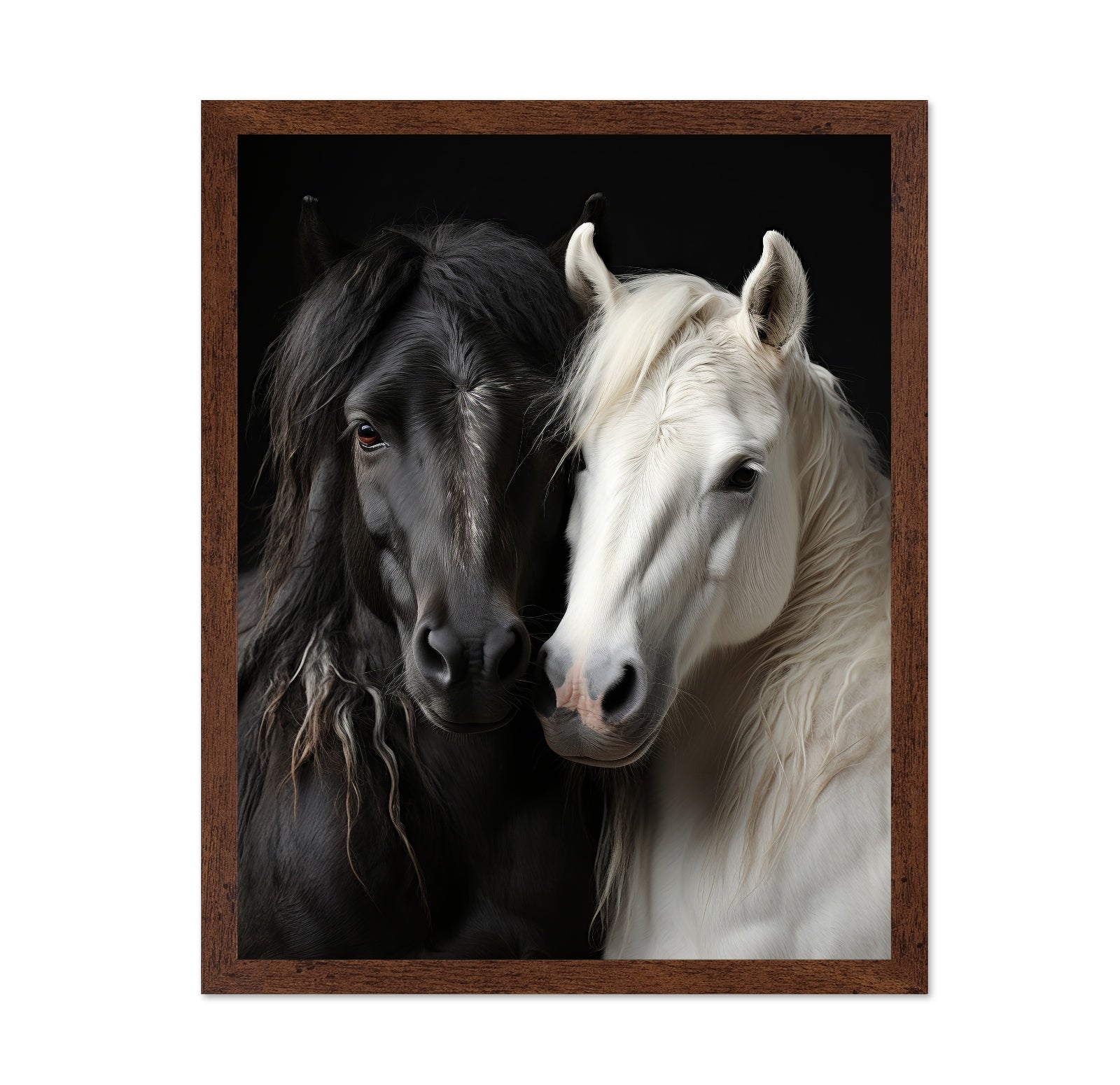 Black White Horses