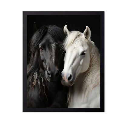 Black White Horses