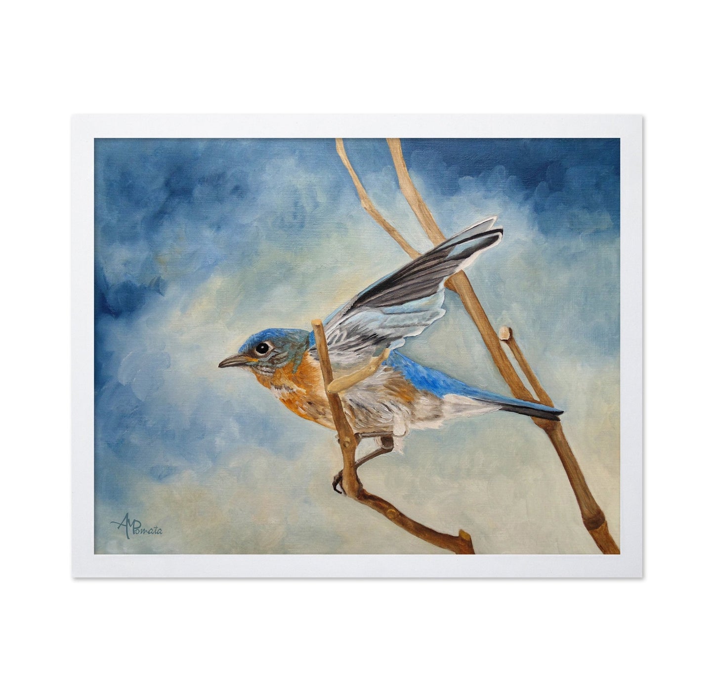 Bluebird On Branch