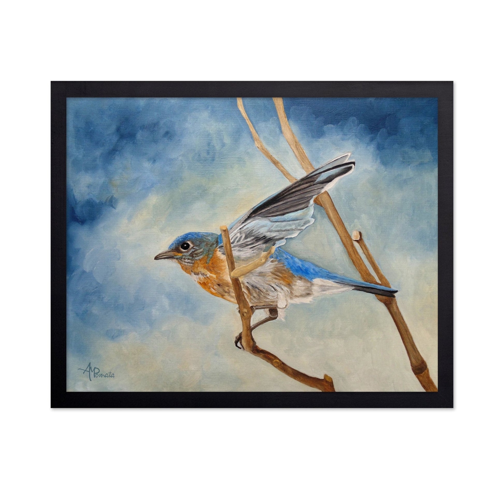 Bluebird On Branch