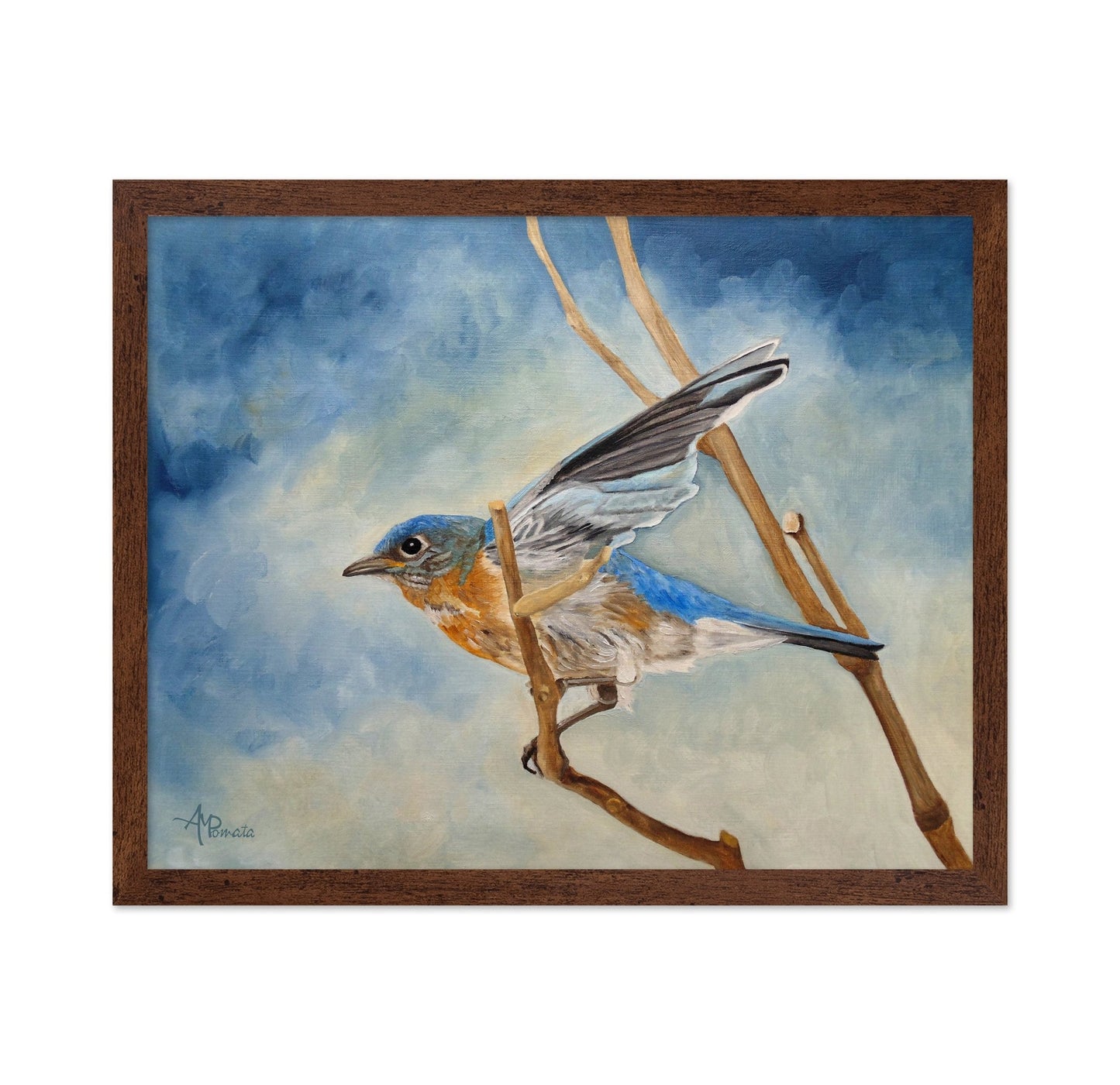 Bluebird On Branch