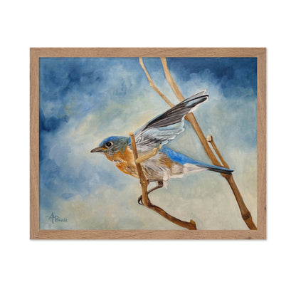Bluebird On Branch