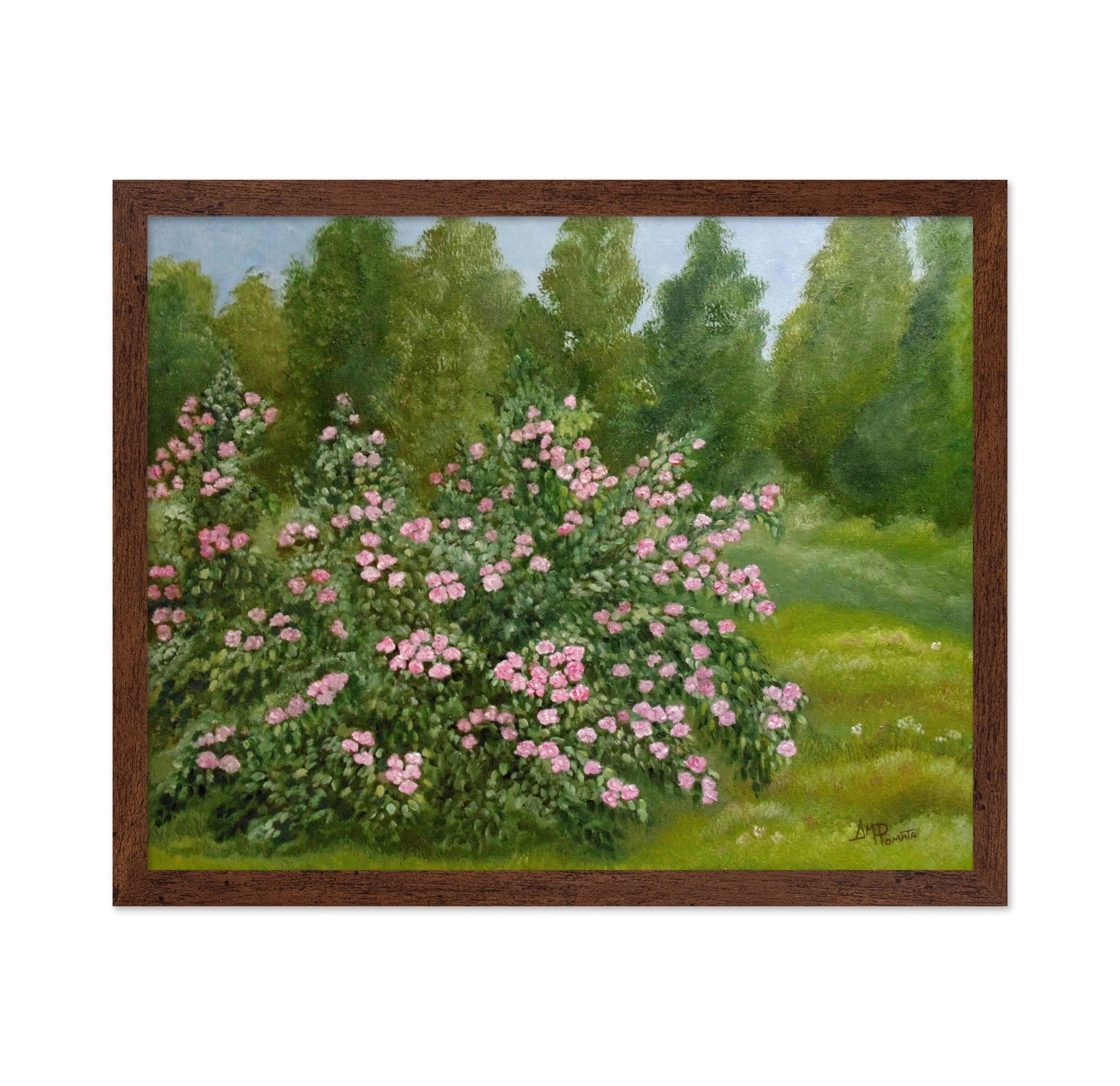 Pink Garden Roses