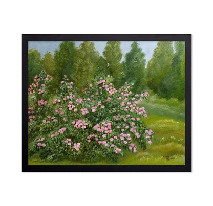 Pink Garden Roses