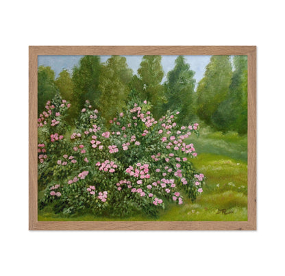 Pink Garden Roses