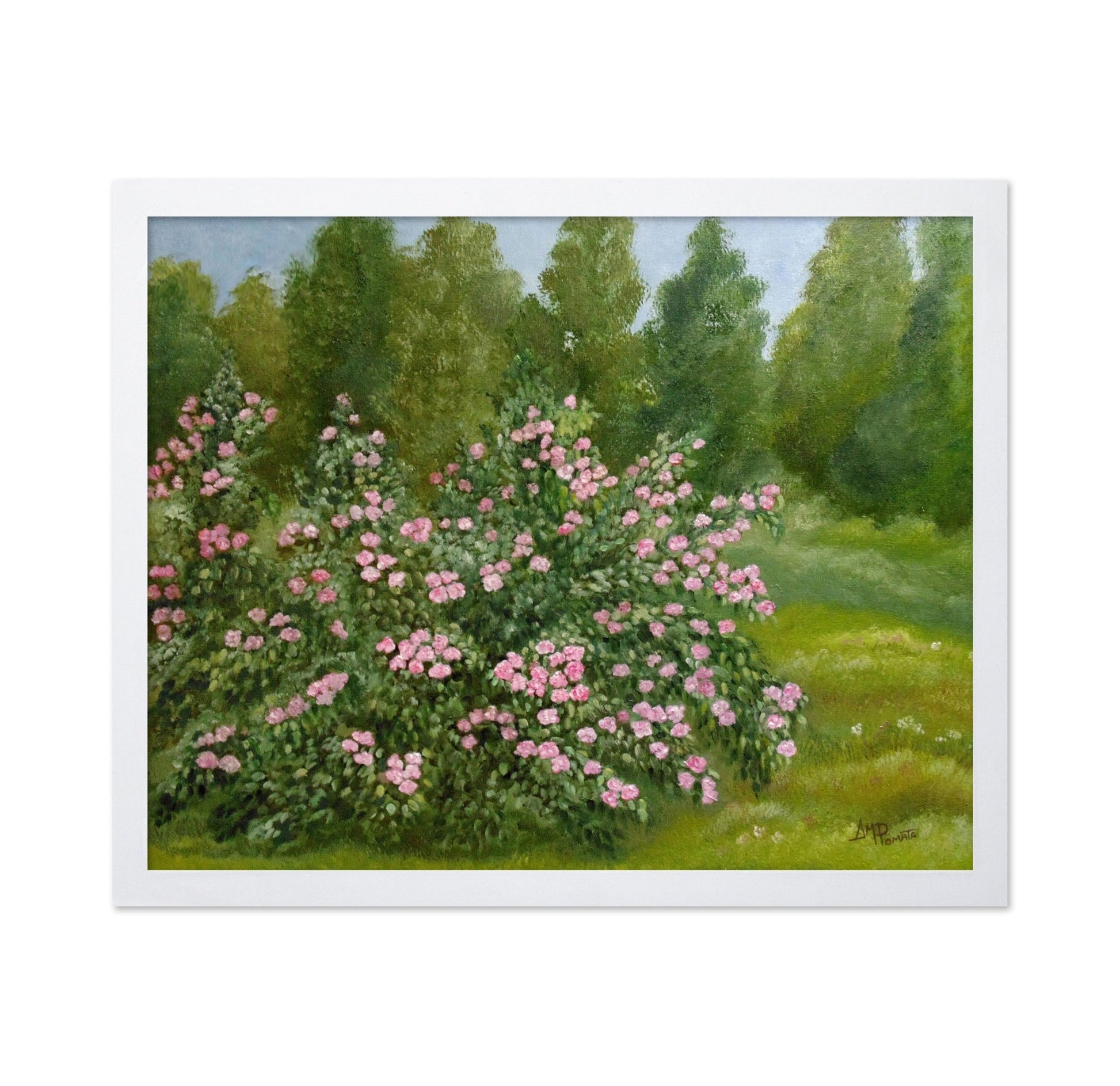 Pink Garden Roses