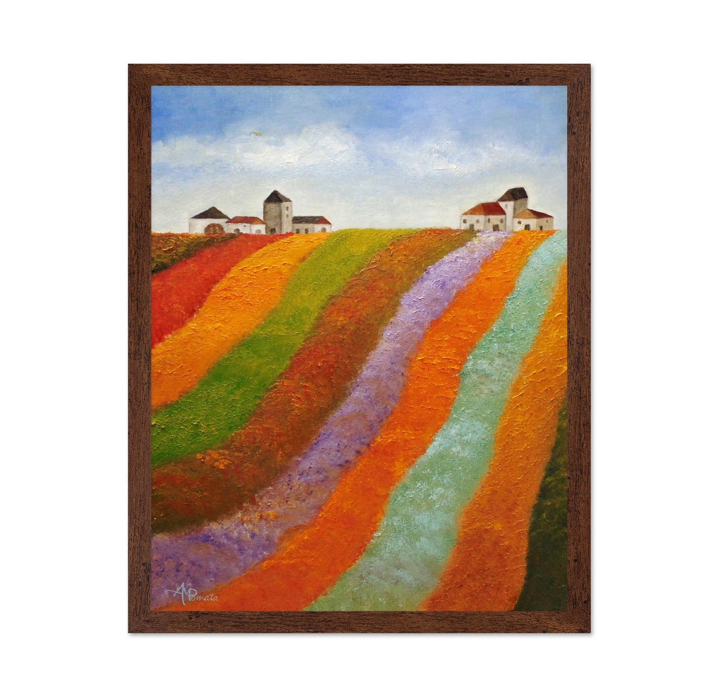 Colorful Field Hills