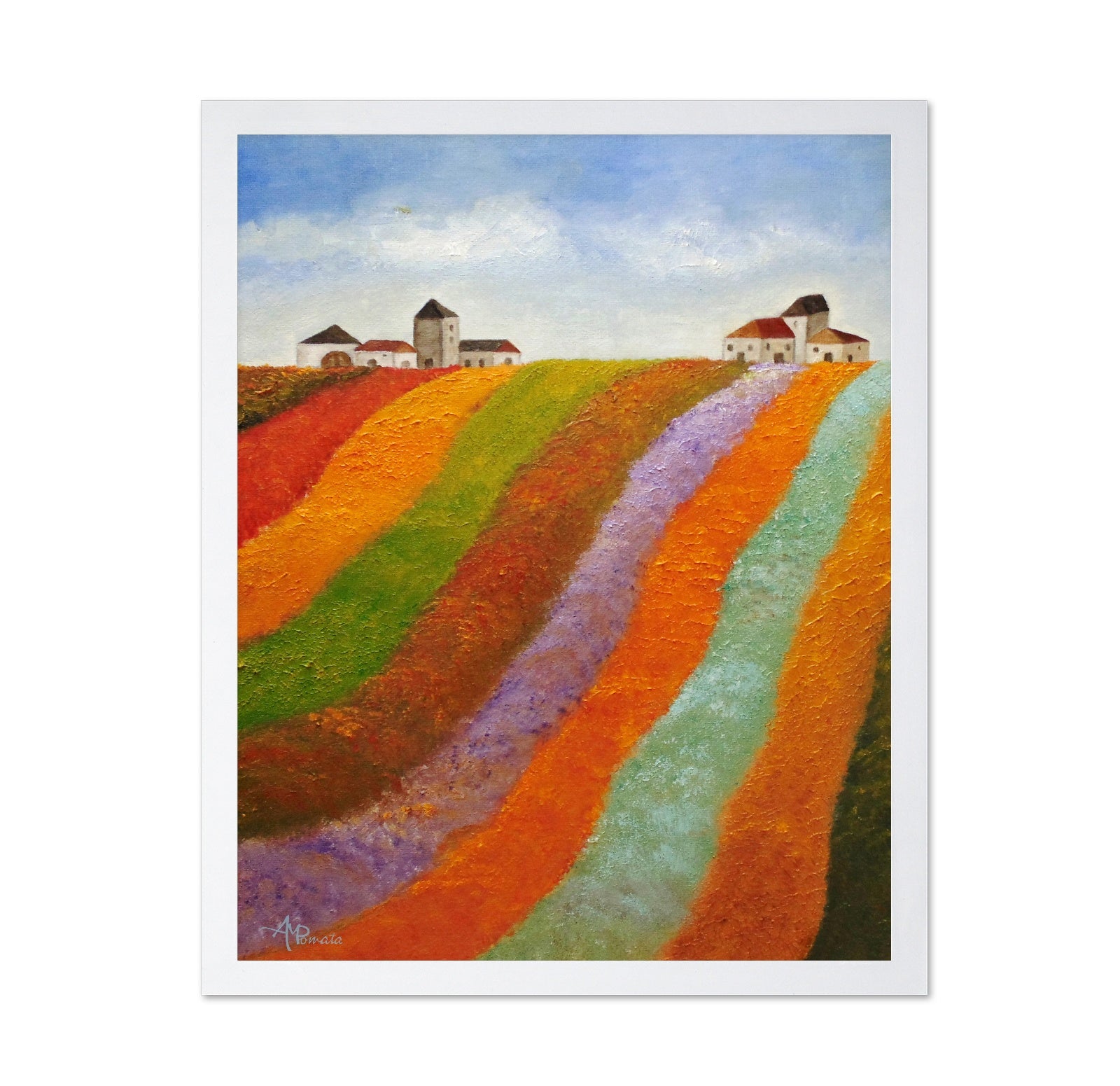 Colorful Field Hills